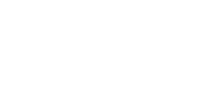 Spirit Shakin' Cheerleaders